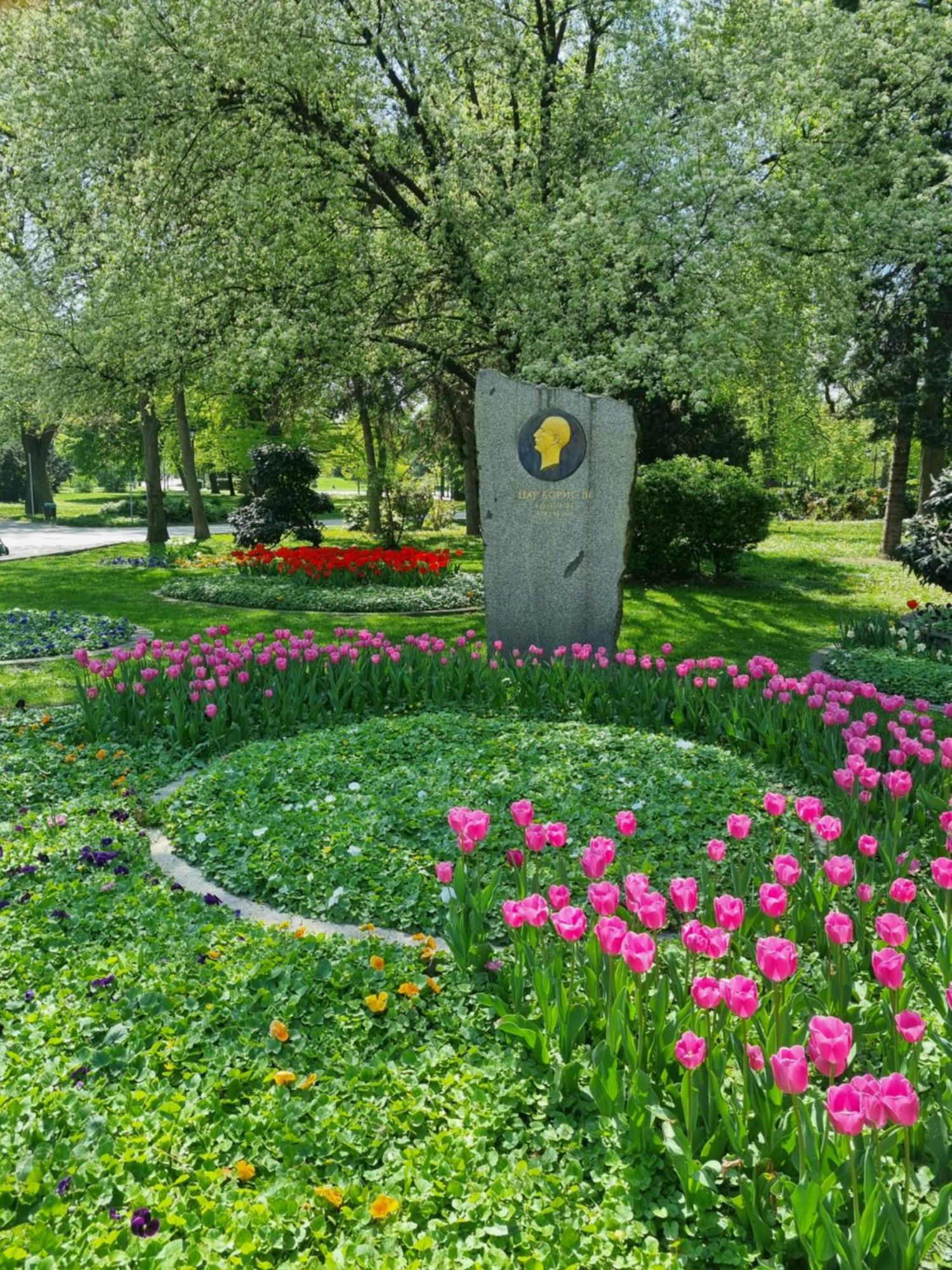 Tulip Dreamland Apartment Sofia Exterior photo