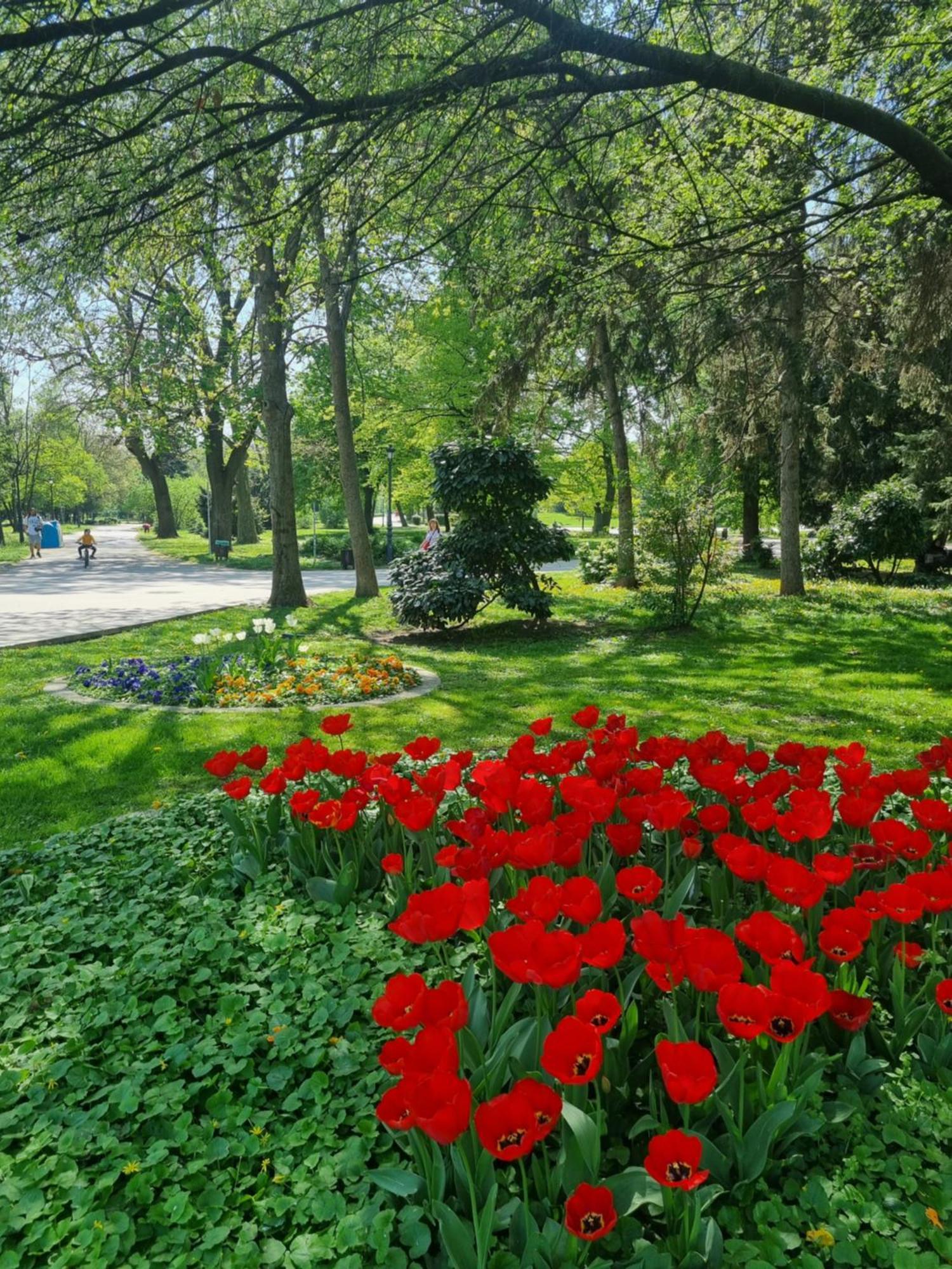 Tulip Dreamland Apartment Sofia Exterior photo