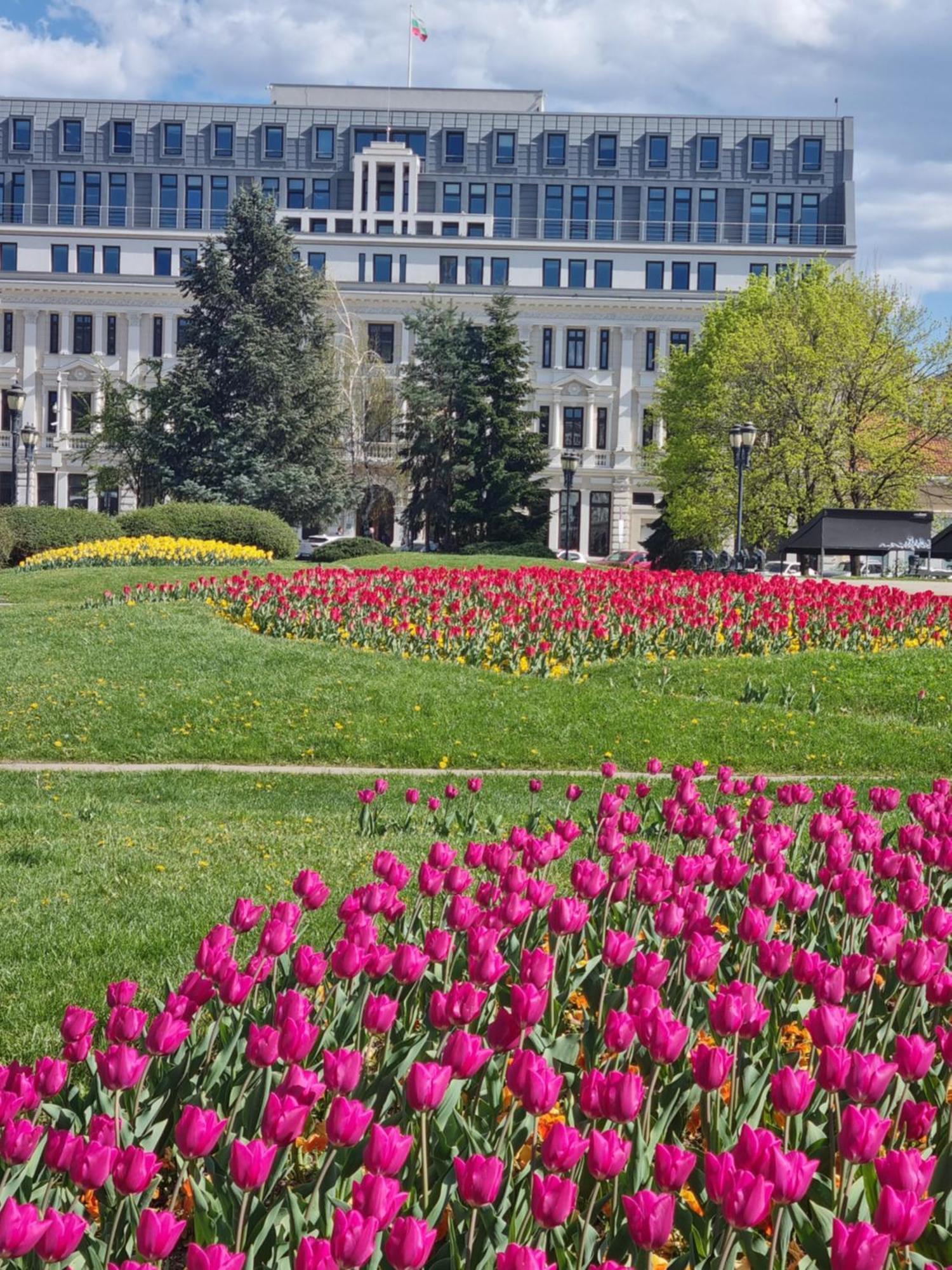 Tulip Dreamland Apartment Sofia Exterior photo