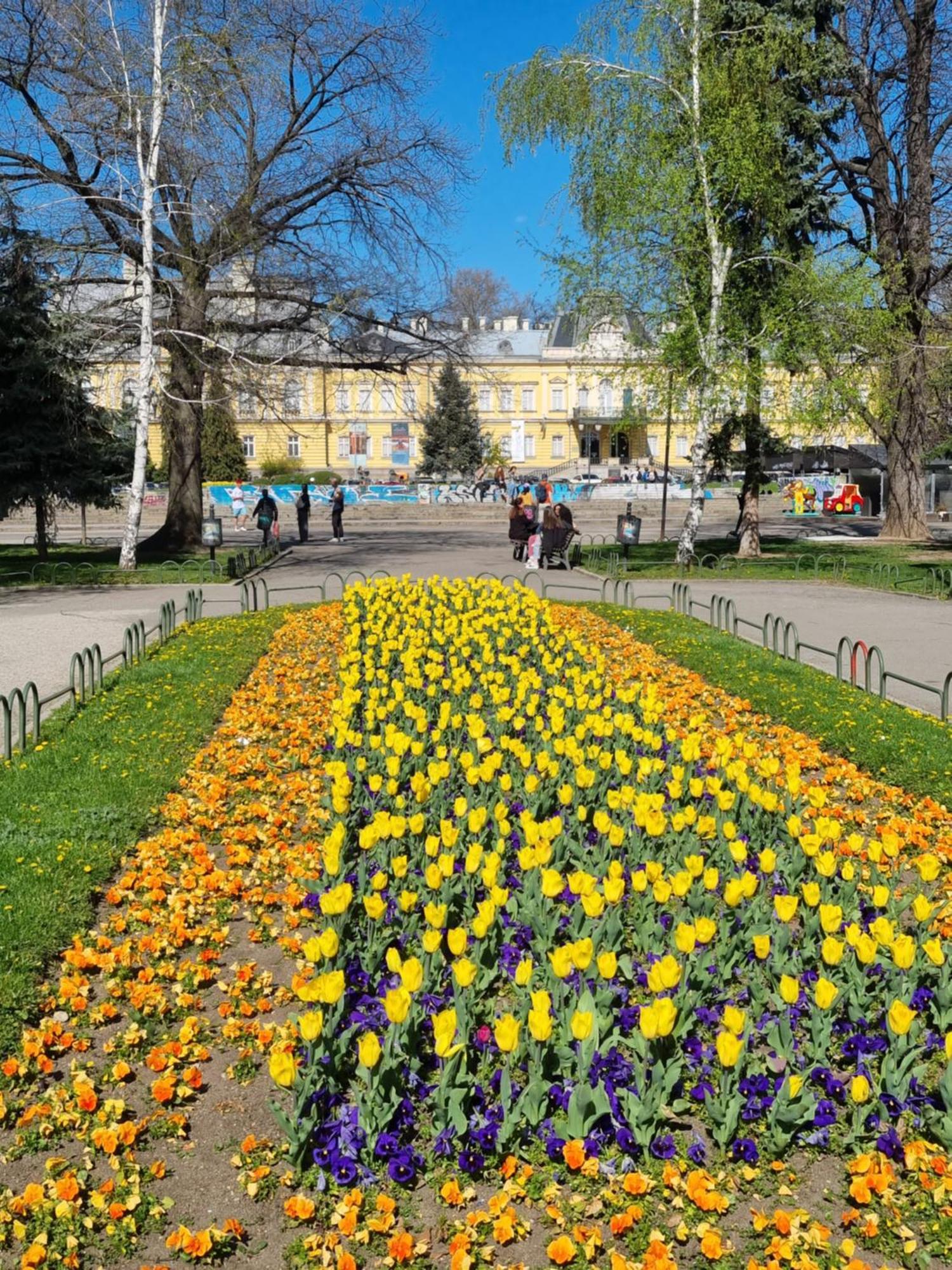 Tulip Dreamland Apartment Sofia Exterior photo