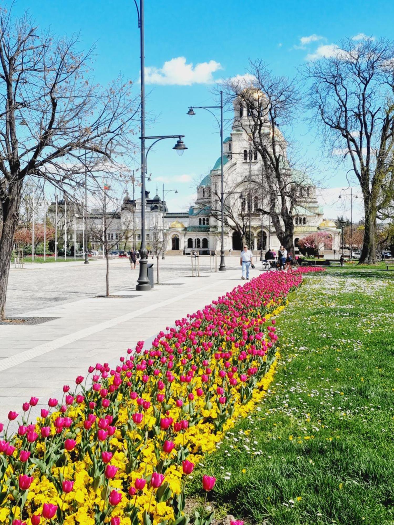 Tulip Dreamland Apartment Sofia Exterior photo