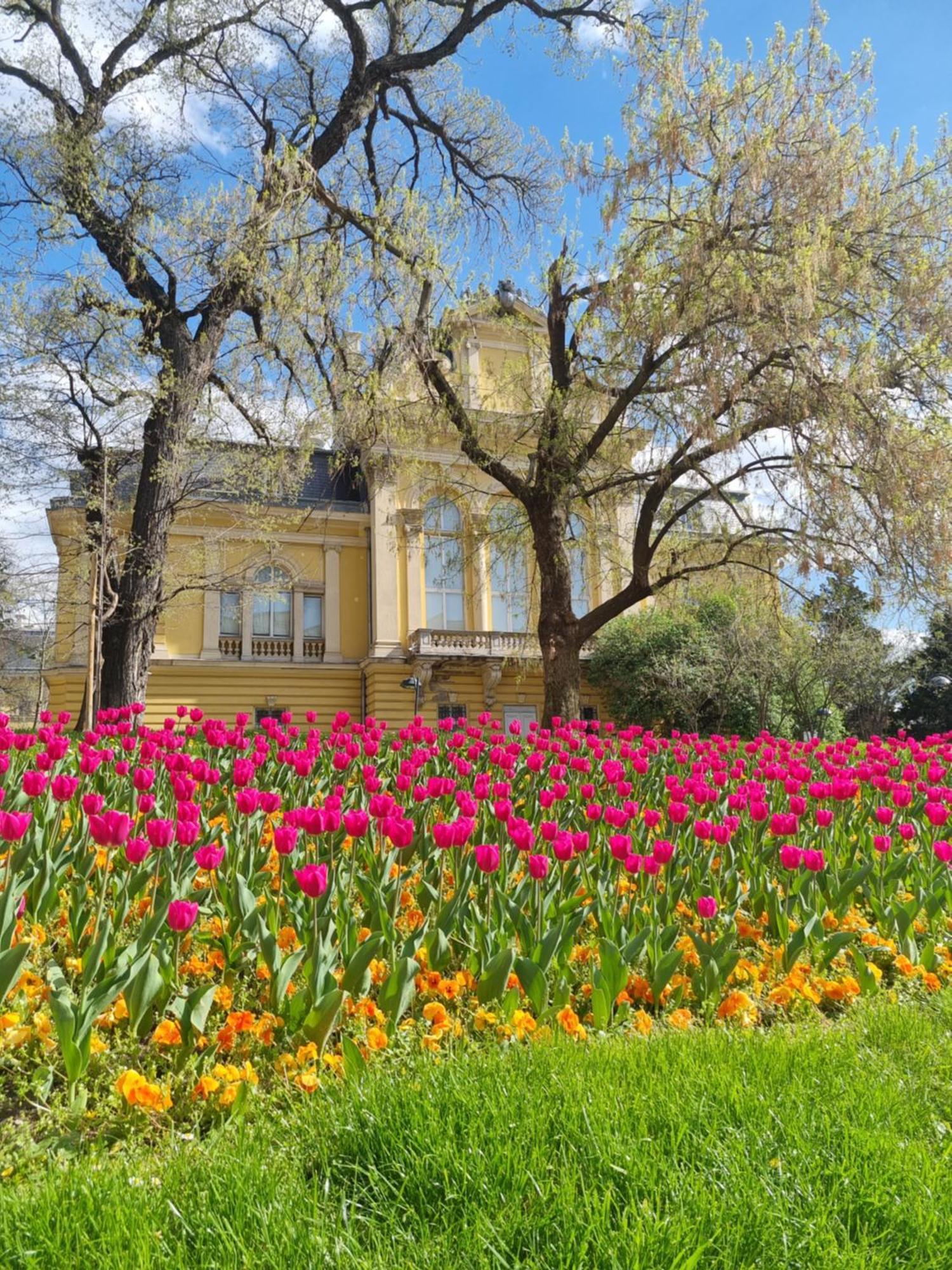 Tulip Dreamland Apartment Sofia Exterior photo